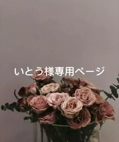 いとう様専用ページ