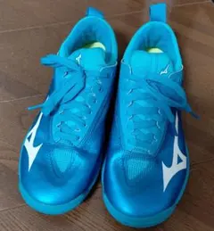 Mizuno 卓球シューズ 青色 24.0cm