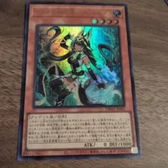 セネトの啓示者－ネフェルタリ 遊戯王