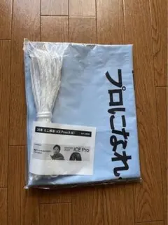 大谷翔平 DUNLOP 26冬 ミニ横幕