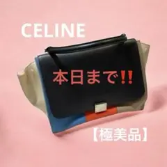 【極美品/希少】CELINE セリーヌバッグトラペーズ 2WAY フィービー期