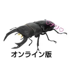 2026年最新】オオクワガタの人気アイテム - メルカリ