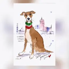 イラスト 原画 ポストカード 絵 【イタリアングレーハウンド】363