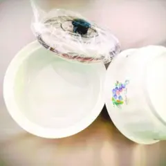 Item thumbnail for item 8d347559-5860-458c-8b43-f4b901fb8709