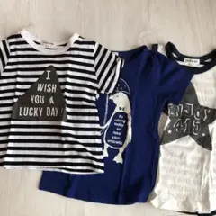シューラルー　　3枚セット
