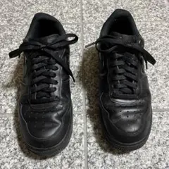 Item thumbnail for item 268b0112-2366-4fa3-a31e-4f79a6a399eb