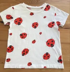 INSECT COLLECTION Tシャツ L てんとう虫 総柄 半袖のサムネイル