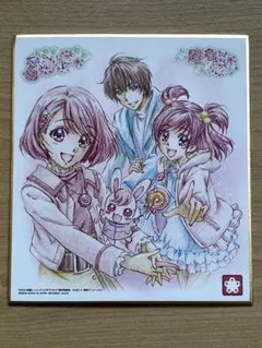 【24時間以内発送】 プリキュア 色紙