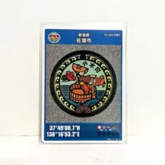 劇レア【マンホールカード】離島セット 初期ロット 佐渡市・小笠原村・徳之島町 劇レア【マンホールカード】離島セット 初期ロット 佐渡市・小笠原村