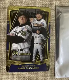 阪神タイガースSGLスタジアム 会場限定カード 平田勝男2軍監督　弁当