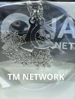 tmnetwork quantum ネックレス TMNETWORK Quantum ガチャ ネックレス - メルカリ