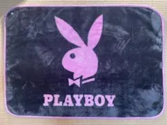 未使用✨PLAY BOY(プレイボーイ)ブランケット 1のサムネイル