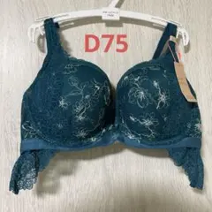 夢みるブラ　D75 グリーン　ドリーミーポインセチア　アモスタイル