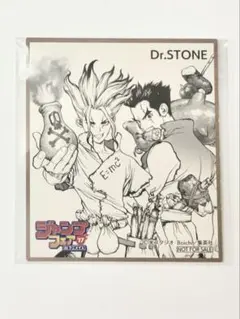 ジャンプフェア アニメイト ミニ色紙　Dr.STONE 石神千空　大木大樹