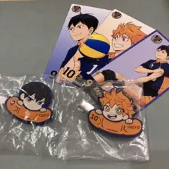 ハイキュー　烏野高校　日向翔陽　影山飛雄
