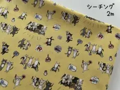 necoyoshi.kun様 リクエスト 10点 まとめ商品