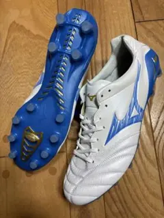 ミズノ モナルシーダ