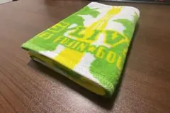 Item thumbnail for item 08dd4243-4b4c-4415-959d-b4c1f36da2ed