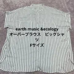 【美品】earth music &ecologyストライプ 半袖オーバーブラウス