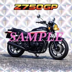 Item thumbnail for item 2c095822-7516-41cc-8aab-6560223f5f24