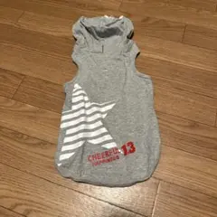 Item thumbnail for item 9c19d253-24ce-4435-aeaa-b3a9226c4d3f