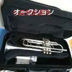 2026年最新】cadesonの人気アイテム - メルカリ