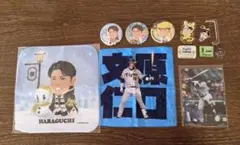 Item thumbnail for item 60bbd7bf-ff87-4d35-9330-f3543c28c16f