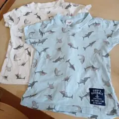 Item thumbnail for item cefadf66-10cb-4506-8aba-314efb6b2e50