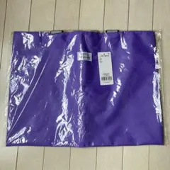 新品 devirock デビロック レッスンバッグ バッグ 鍵盤ハーモニカのサムネイル