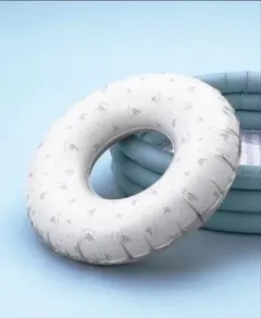 Item thumbnail for item bafa65b2-df38-4e9d-84af-562eb9be5376