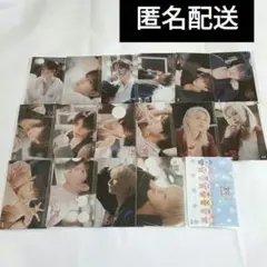 スキズ オンラインくじ E賞 ステッカー コンプリート 17枚セット SKZOO