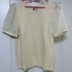 ★パラビオン　ParAvion 袖シアーカラフルドット刺繍パフスリーブのサムネイル