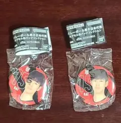【新品未開封】バレーボール男子日本代表　缶バッジ　ガチャガチャ　甲斐選手　2個