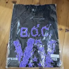 2026年最新】bump of chicken tシャツ 周年の人気アイテム - メルカリ