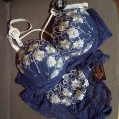 ネイビー刺繍ブラジャーショーツセット F70