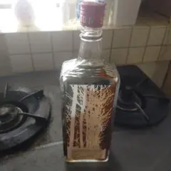 Item thumbnail for item 1516eac5-8c48-4682-ad57-996e384b8737