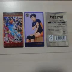 ハイキュー ゴミ捨て場の決戦展 チケット風カード KV 影山飛雄