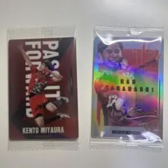 Item thumbnail for item 7cf2a5b6-97df-47ee-88b2-07177f448048