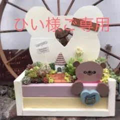 ★多肉植物　寄せ植え〜手作りくまさんプランター 寄せ〜★