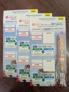 ナガシマスパーランド　 パスポート3枚のサムネイル