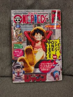 【値下げ不可】ワンピースマガジンVol. 20 付録付き