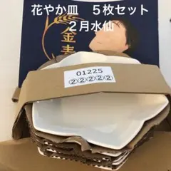 ◼️値下げ◼️新品未使用　花やか皿５枚セット