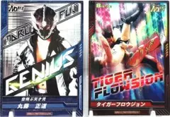 プロレス カード　丸藤 正道　タイガーフロウジョン　プロレスリング ノア　訳あり