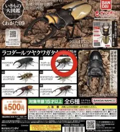いきもの大図鑑 カブトムシ カプセルトイ