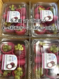 冷蔵クール便 タイ産 生マンゴスチン 2ケースセット 山竹果 山竹 新鮮果物のサムネイル