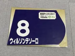 2025年最新】ミニゼッケンの人気アイテム - メルカリ