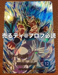 ダイバーズ SDV7-SEC2 ゴジータ