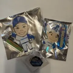 北海道日本ハムファイターズ 中島卓也 選手 #9 グッズセット 25点