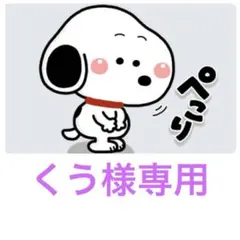 専用