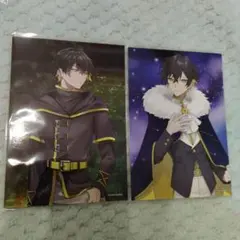 ★Ｌ判　カモメ　kamome　めろぱか　ブロマイド　ウィンターグッズ　2024